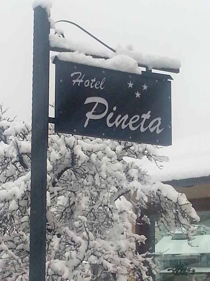 Hotel Pineta بونتي دي لينيو المظهر الخارجي الصورة